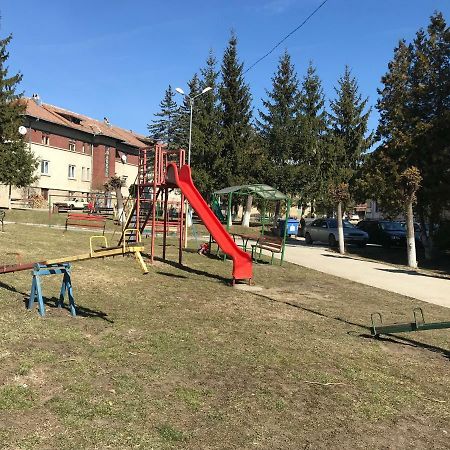 SlănicGarsoniera Mandrilorアパートメント エクステリア 写真