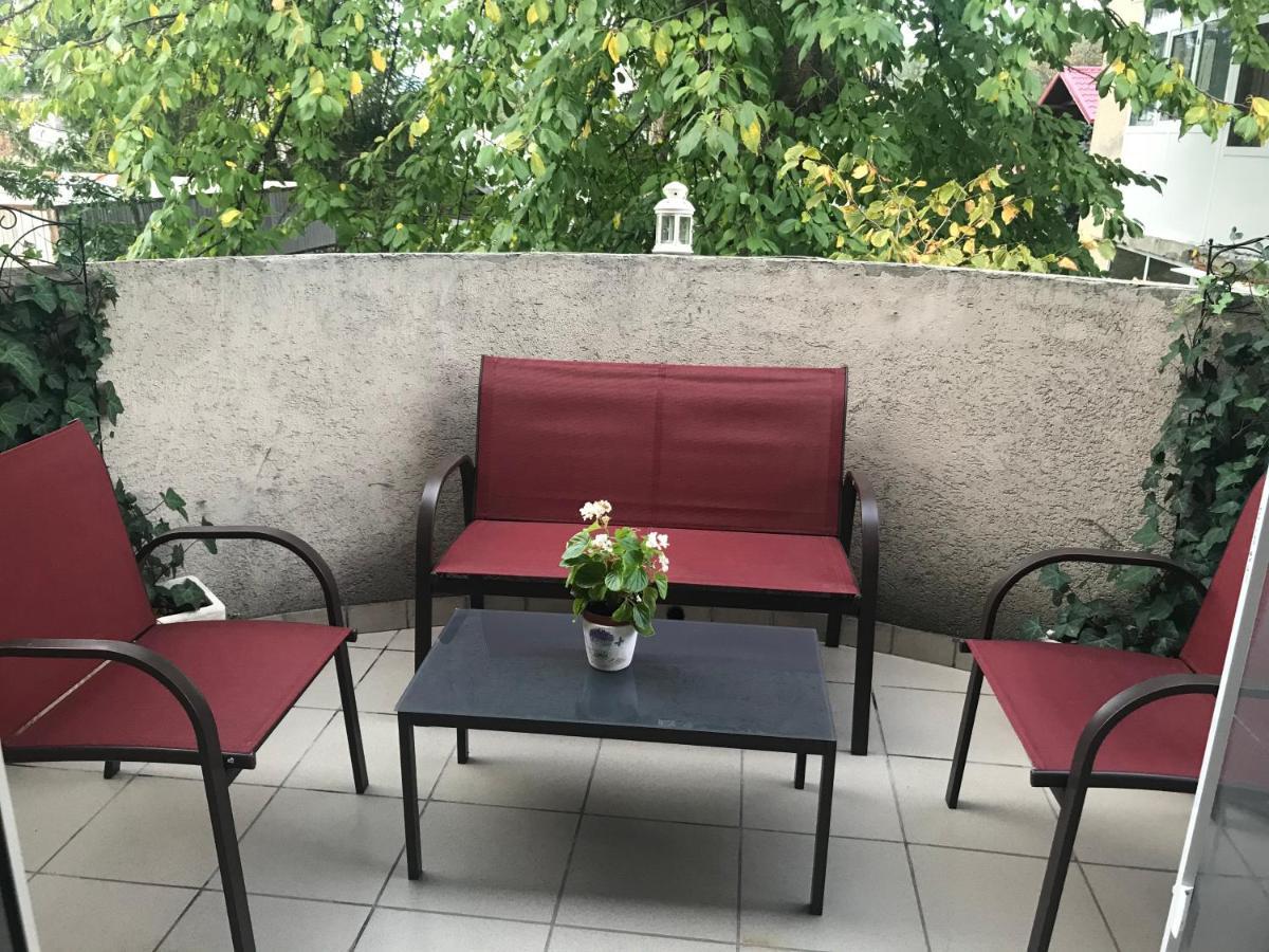 SlănicGarsoniera Mandrilorアパートメント エクステリア 写真