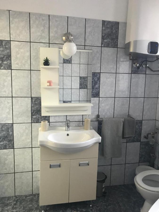 SlănicGarsoniera Mandrilorアパートメント エクステリア 写真