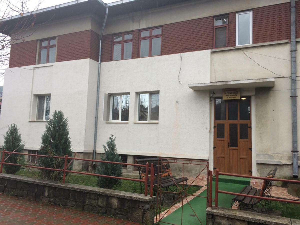 SlănicGarsoniera Mandrilorアパートメント エクステリア 写真