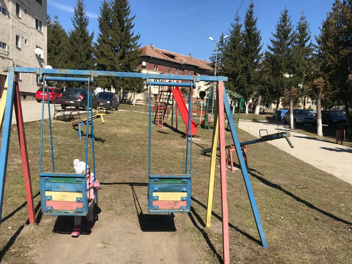 SlănicGarsoniera Mandrilorアパートメント エクステリア 写真